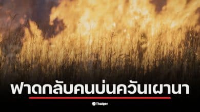 ภาพการเผานาในนครนายกสร้างฝุ่นควัน PM 2.5 ส่งผลกระทบต่อสุขภาพประชาชน