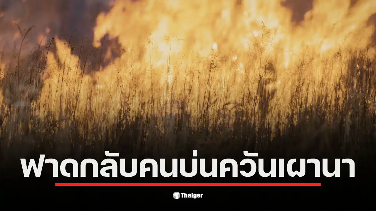 ภาพการเผานาในนครนายกสร้างฝุ่นควัน PM 2.5 ส่งผลกระทบต่อสุขภาพประชาชน