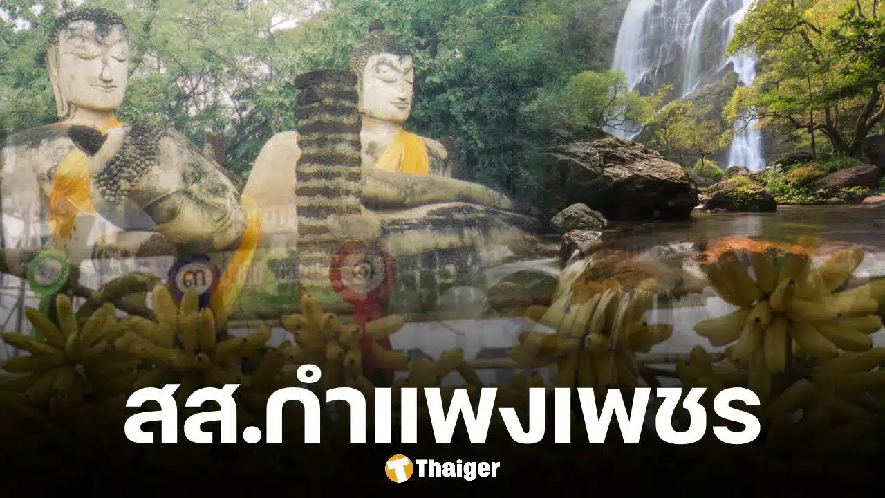 รายชื่อผู้สมัคร สส.กำแพงเพชร เลือกตั้ง 2569 จำนวน 30 รายชื่อ 4 เขต