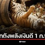 เลขเด็ด "เสือตกถังพลังเงินดี" แนวทางหวยรัฐบาลไทยงวดล่าสุด ให้เลขเด่น 3 เลขรอง 2 พร้อมชุด 3 ตัวและ 2 ตัวฉบับเต็ม เก็งก่อนเกลี้ยงแผง