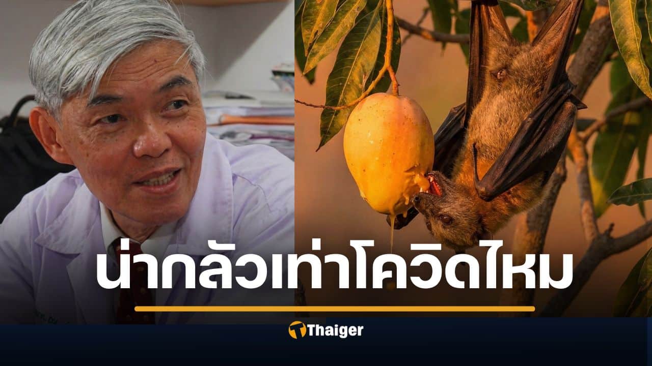ไวรัสนิปาห์ หมอยง เตือนคนไทย กิน "น้ำตาลสด" ต้องต้มสุก สายพันธุ์เอเชียใต้ โอกาสระบาดแค่ไหน