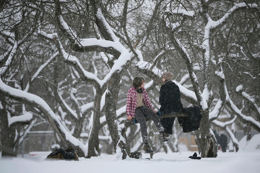 People sit on a tree branch in the snow-covered Kolomenskoye park in Moscow, Russia, Wednesday, Jan. 7, 2026.