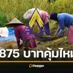 ม.33 อ่วม! เงินประกันสังคม มกราคม 69 เก็บเพิ่มสูงสุด 875 บาท ได้คุ้มจ่ายไหม?