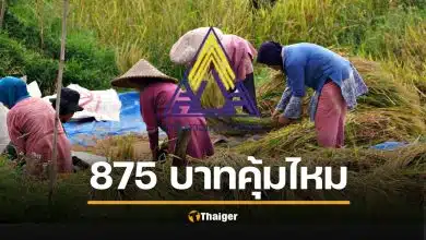 ม.33 อ่วม! เงินประกันสังคม มกราคม 69 เก็บเพิ่มสูงสุด 875 บาท ได้คุ้มจ่ายไหม?