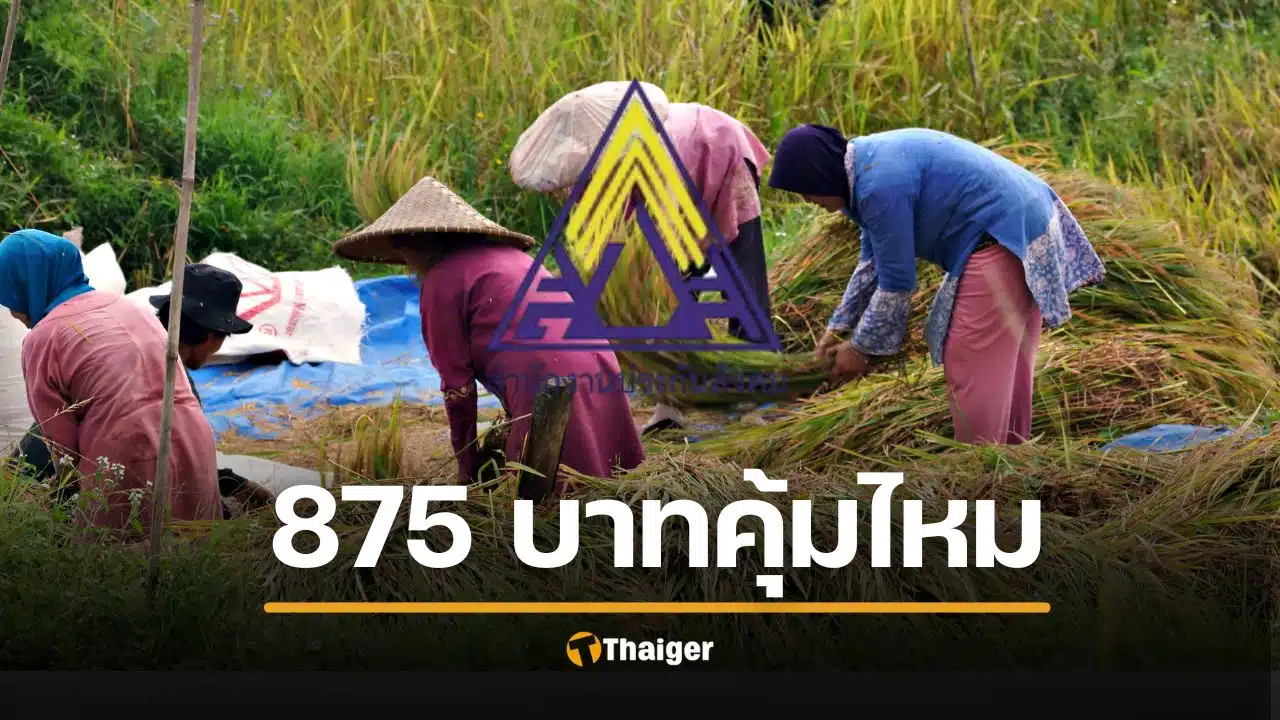 ม.33 อ่วม! เงินประกันสังคม มกราคม 69 เก็บเพิ่มสูงสุด 875 บาท ได้คุ้มจ่ายไหม?