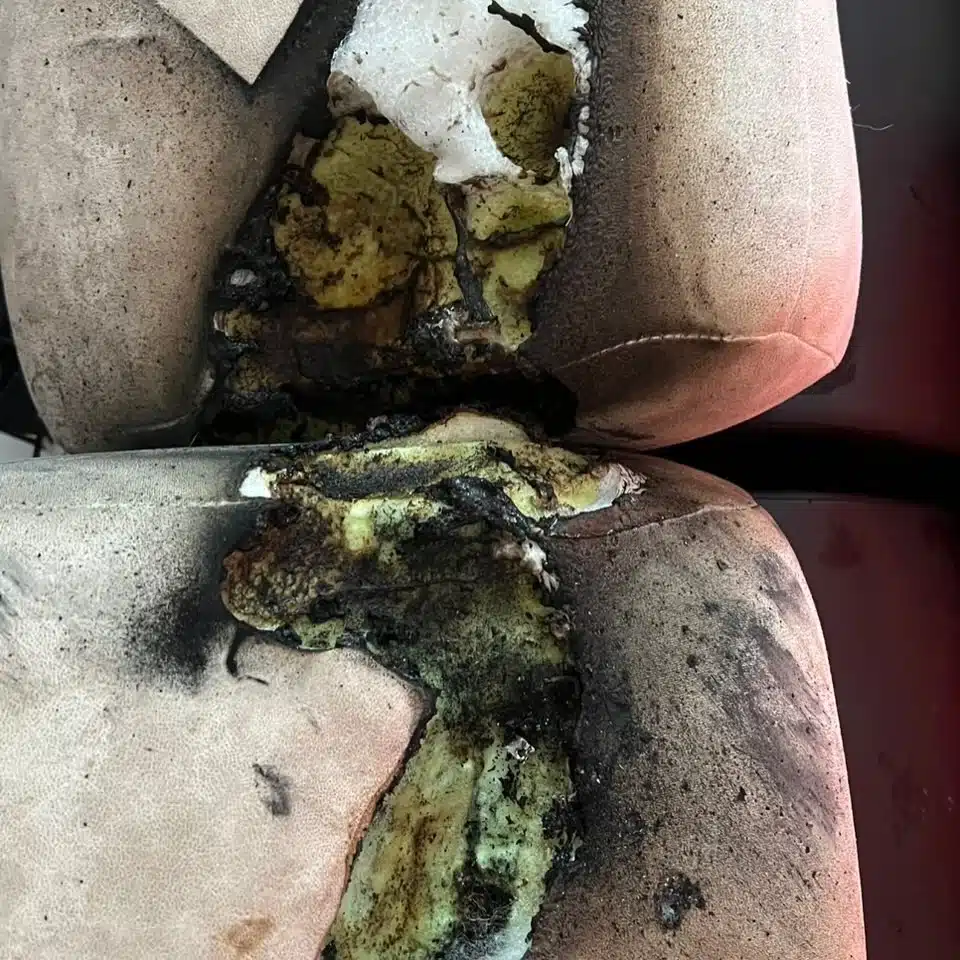 ระทึก! นก จริยา เผยนาที พาวเวอร์แบงค์ระเบิด ไฟลุกไหม้โซฟาหนัง โชคดีไม่มีใครบาดเจ็บ-2