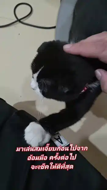 สมเจี๊ยบ