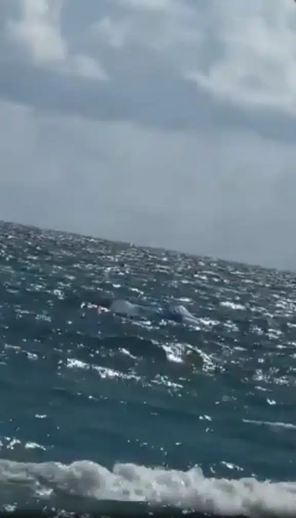 นักดำน้ำช่วยชายพาราไกลเดอร์ที่ติดอยู่ในสายพาราไกลเดอร์ในทะเล