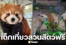 องค์การสวนสัตว์ฯ เปิด 6 สวนสัตว์ทั่วไทยให้เด็ก-ผู้สูงอายุ เที่ยวฟรี วันเด็กแห่งชาติ 2569