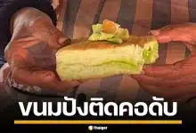 สลด! ตาวัย 71 ปี กินขนมปังไส้สังขยา ติดคอเสียชีวิตคาบ้าน เหตุไม่มีฟันเคี้ยว