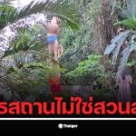 นักท่องเที่ยวที่วัดผาลาด เชียงใหม่ ต้องปฏิบัติตามกฎเพื่อรักษาความสงบ.