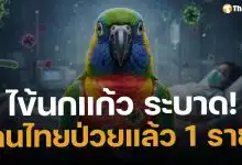 ด่วน! ไข้นกแก้ว ระบาด พบหญิงไทย ป่วยรายแรก มีประวัติเลี้ยงนกในที่ปิด-อากาศไม่ถ่ายเท