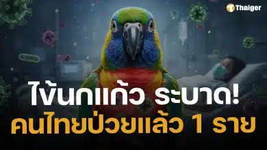 ด่วน! ไข้นกแก้ว ระบาด พบหญิงไทย ป่วยรายแรก มีประวัติเลี้ยงนกในที่ปิด-อากาศไม่ถ่ายเท
