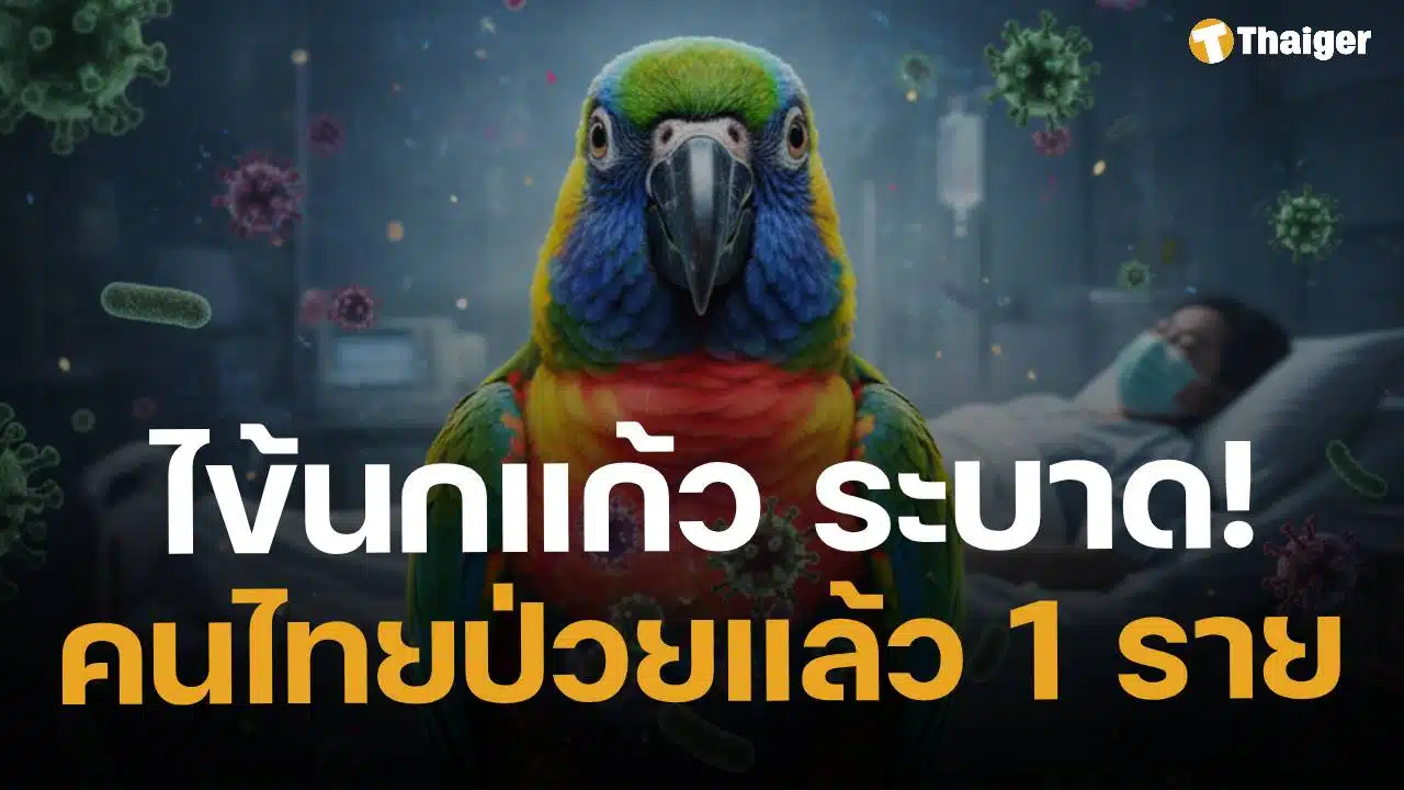ด่วน! ไข้นกแก้ว ระบาด พบหญิงไทย ป่วยรายแรก มีประวัติเลี้ยงนกในที่ปิด-อากาศไม่ถ่ายเท