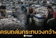 แม่ค้าโอด เครนถล่มพระราม 2 ทำพิษ ตลาดมหาชัยไร้คน ค้าขายดิ่งเหว วอนนายกฯ แก้วิกฤติ