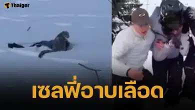 คลิปนาที นักสกีสาว หวิดสิ้นชื่อ หลังเข้าใกล้ เสือดาวหิมะ เพื่อเซลฟี่ ก่อนถูกขย้ำหน้าเละ