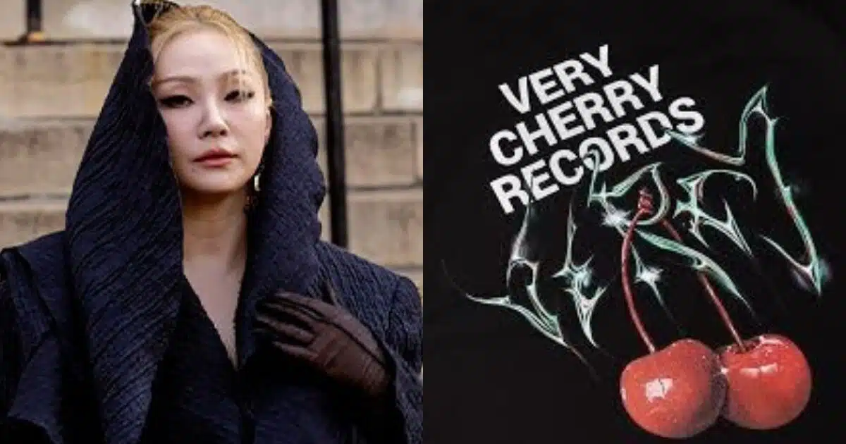 ซีแอล 2NE1 ถูกฟ้องข้อหาดำเนินกิจการค่ายเพลงเถื่อน