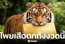 เลขเด็ดเสือตกถังพลังเงินดี งวด 17 ม.ค. 69