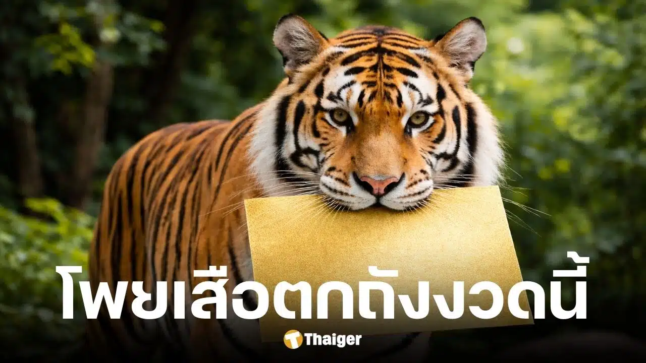 เลขเด็ดเสือตกถังพลังเงินดี งวด 17 ม.ค. 69