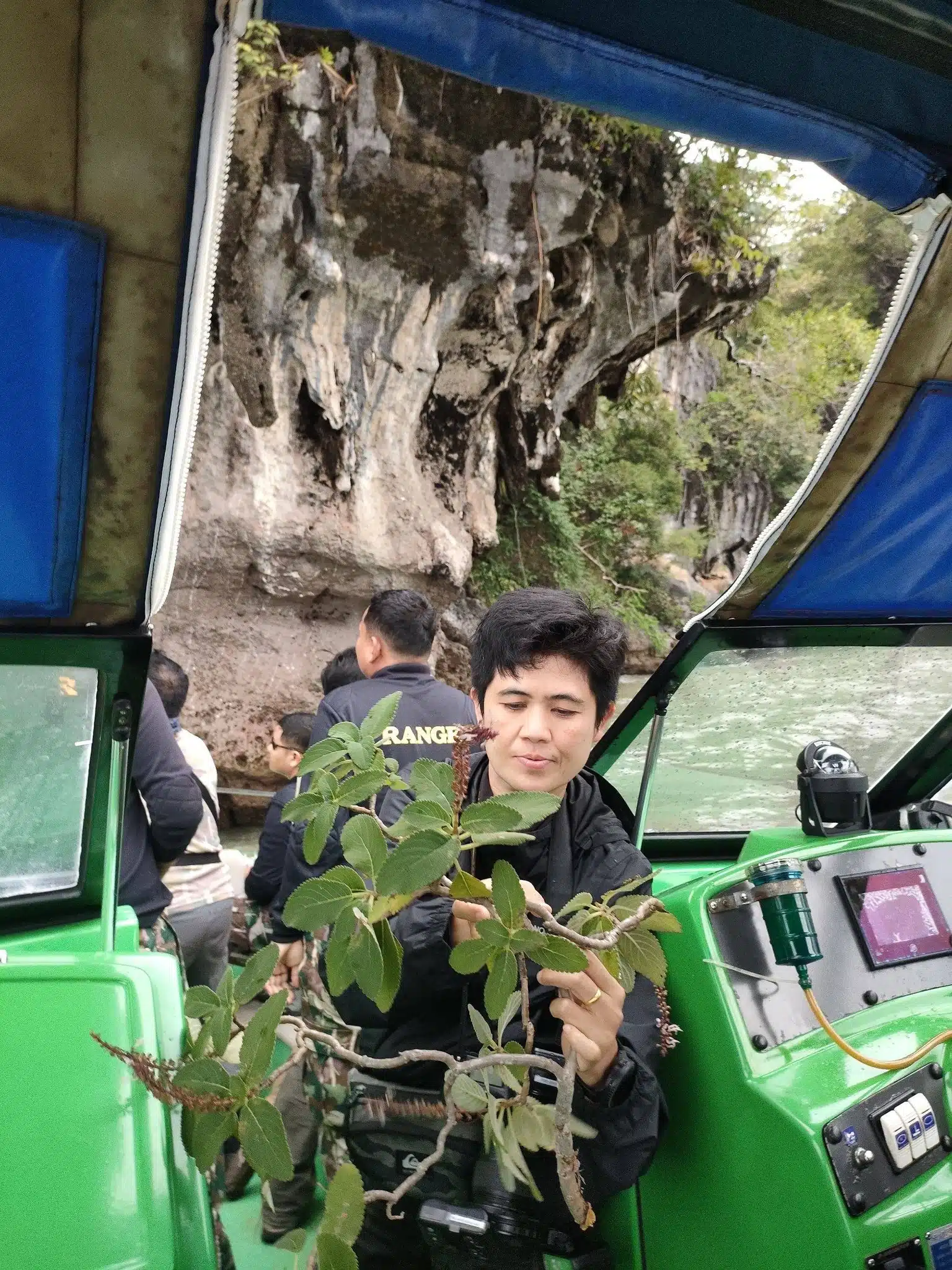 กรมอุทยานฯ ค้นพบ หูเสือใบขน พรรณไม้หายากสาบสูญนาน 130 ปี-2