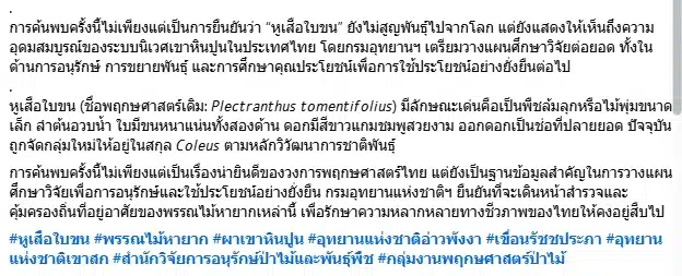 กรมอุทยานฯ ค้นพบ หูเสือใบขน พรรณไม้หายากสาบสูญนาน 130 ปี-8
