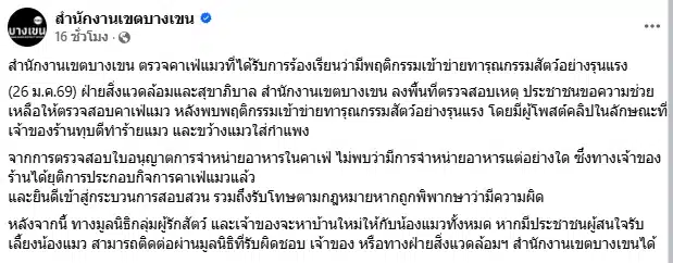 คาเฟ่แมว ทารุณสัตว์ พนง.จับแมวฟาดกำแพง เขตสั่งปิด เตรียมหาบ้านใหม่ให้น้องๆ ด่วน-10