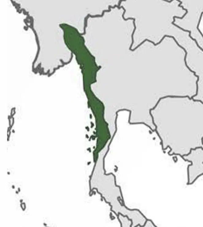 สาธารณรัฐกอทูเล