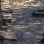 แบกรับไม่ไหว ช่างเย็บผ้าทิ้งจดหมายลา "ขายจักรใช้หนี้ให้ที" ปลิดชีพที่วัดเก่าอยุธยา