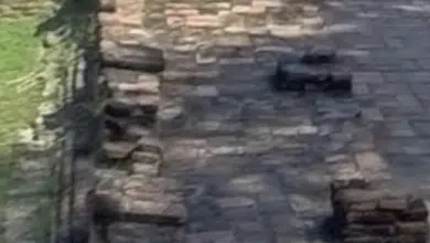 แบกรับไม่ไหว ช่างเย็บผ้าทิ้งจดหมายลา "ขายจักรใช้หนี้ให้ที" ปลิดชีพที่วัดเก่าอยุธยา