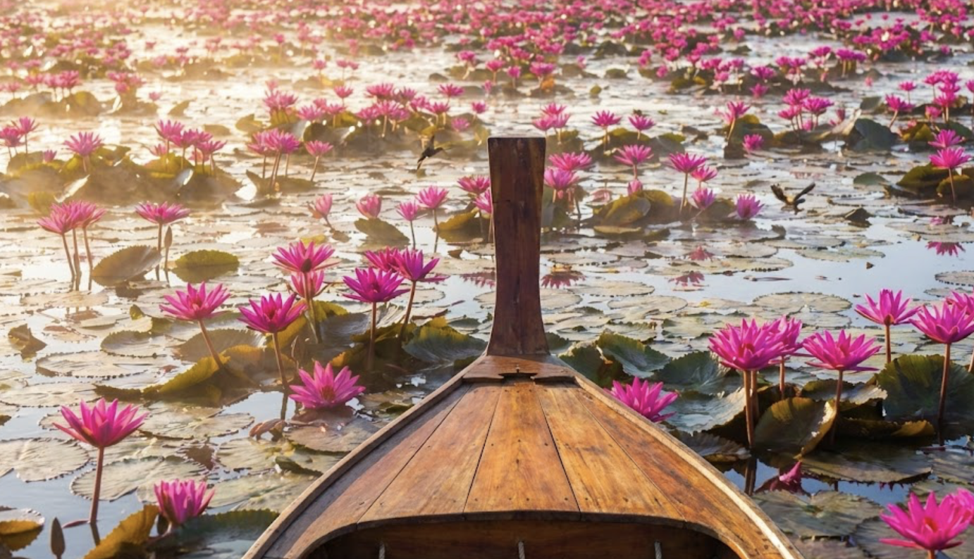 ทะเลบัวแดง หนองหาน