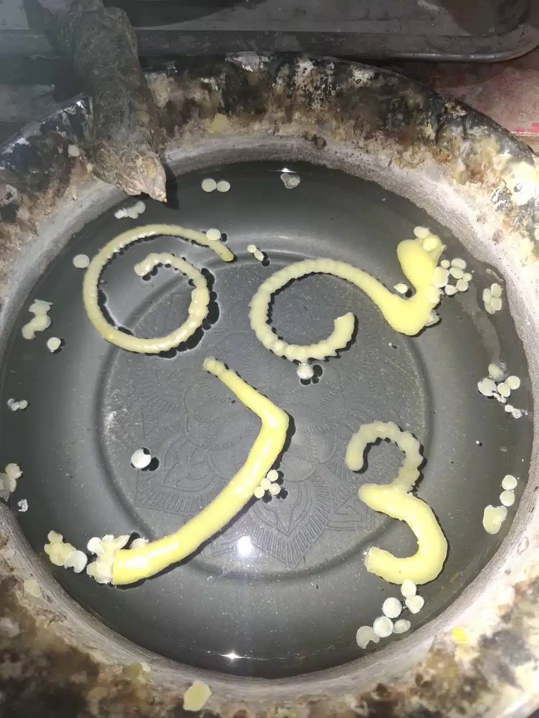 เลขขันน้ำมนต์ คำชะโนด งวด 17 1 69