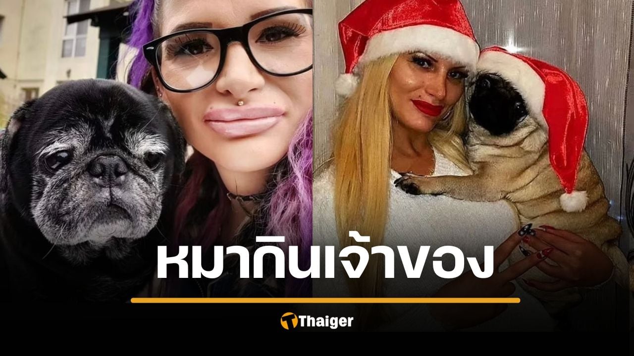 สลด สาวดับปริศนาคาห้องพัก ถูก "สุนัขปั๊ก" สุดที่รักแทะศพประทังหิว