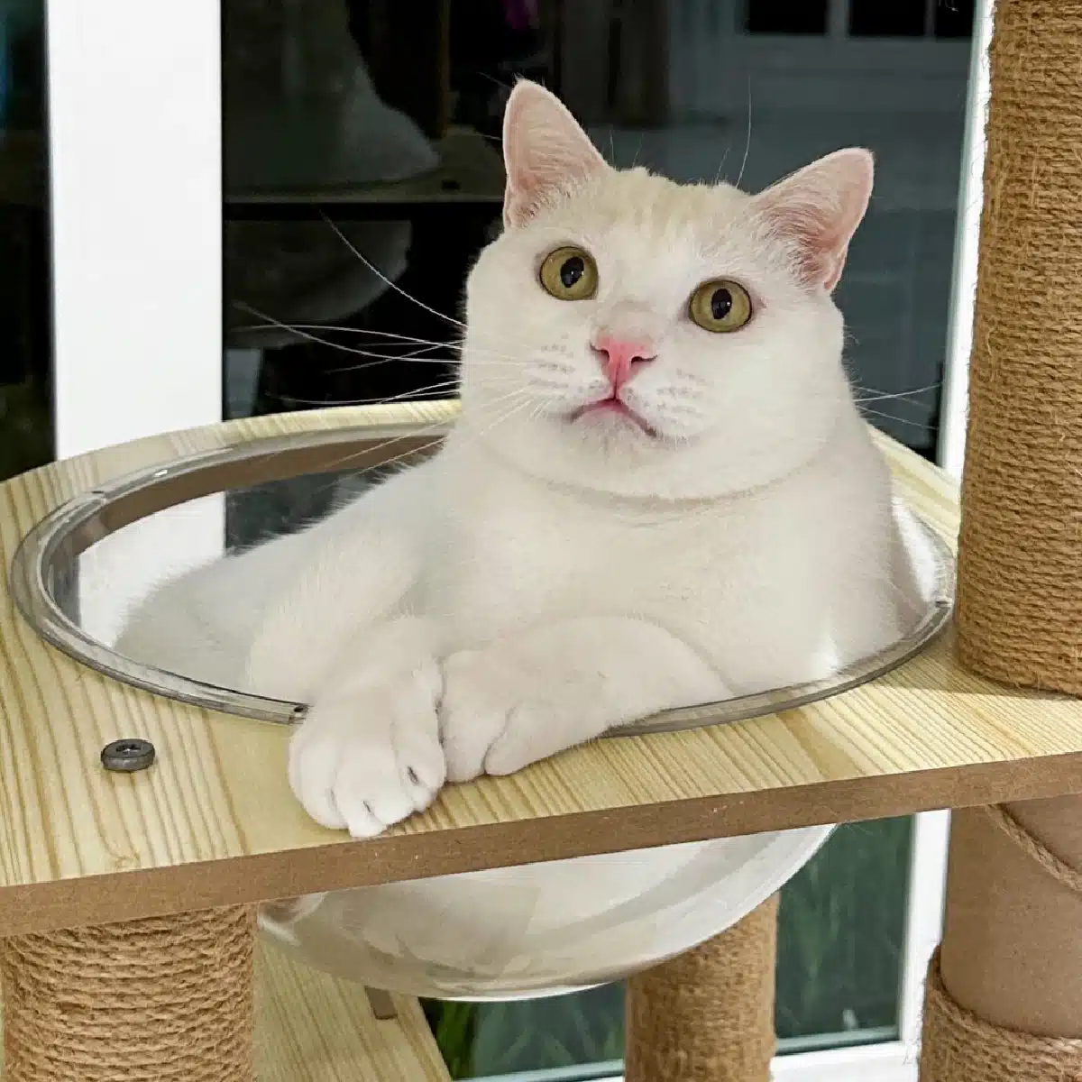 คุณพลอยขอโทษแฟนคลับที่ไม่ได้แจ้งข่าวทันทีเพราะสภาพจิตใจย่ำแย่