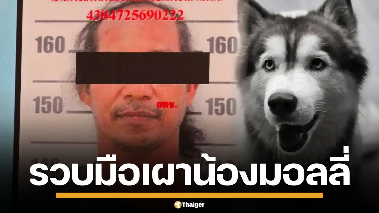รวบชายวัย 52 ปี ใจเหี้ยม จุดไฟเผาทั้งเป็น "น้องมอลลี่" สุนัขพันธุ์ไซบีเรียน