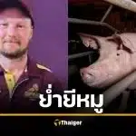 เหลือเชื่อ ยกฟ้อง "หนุ่มข่มขืนหมู" ทำจริง แต่ศาลอ้าง คลิปแอบถ่าย ใช้เป็นหลักฐานไม่ได้