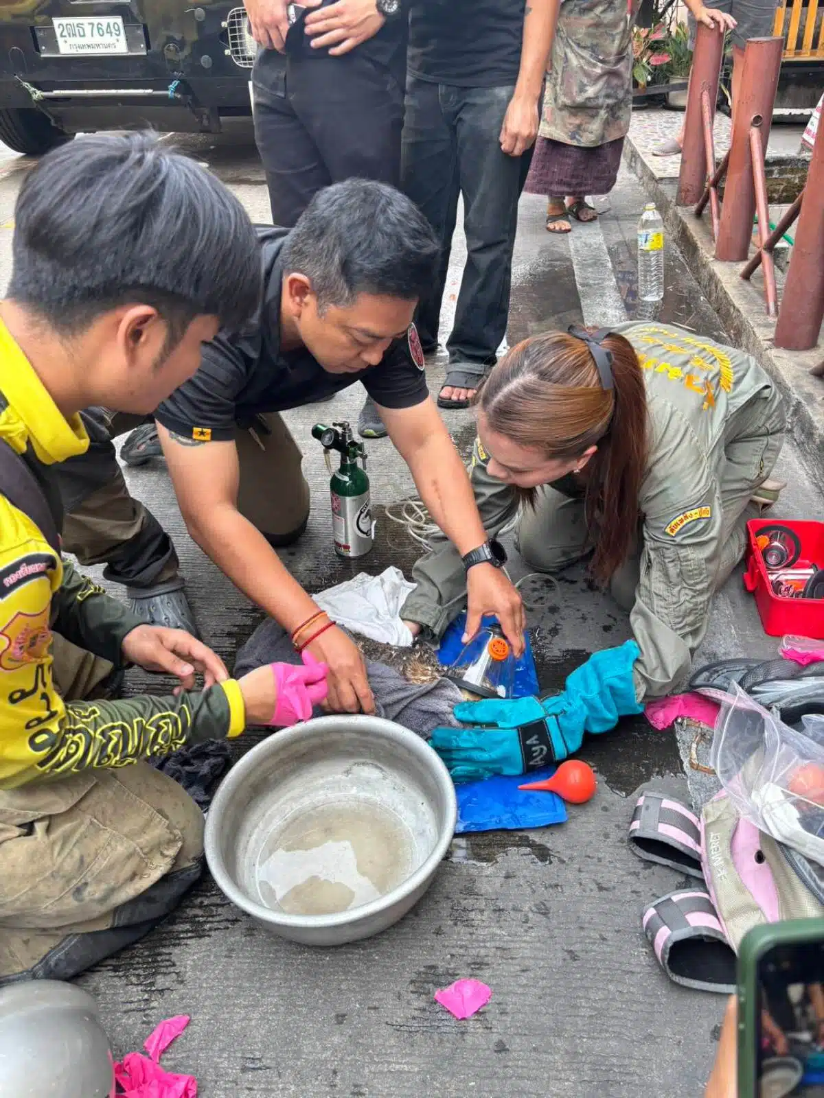 เจ้าหน้าที่กู้ภัยเข้าให้การช่วยเหลือปฐมพยาบาลเบื้องต้น ก่อนเร่งนำตัวส่งโรงพยาบาลสัตว์ใกล้เคียงเพื่อยื้อชีวิต