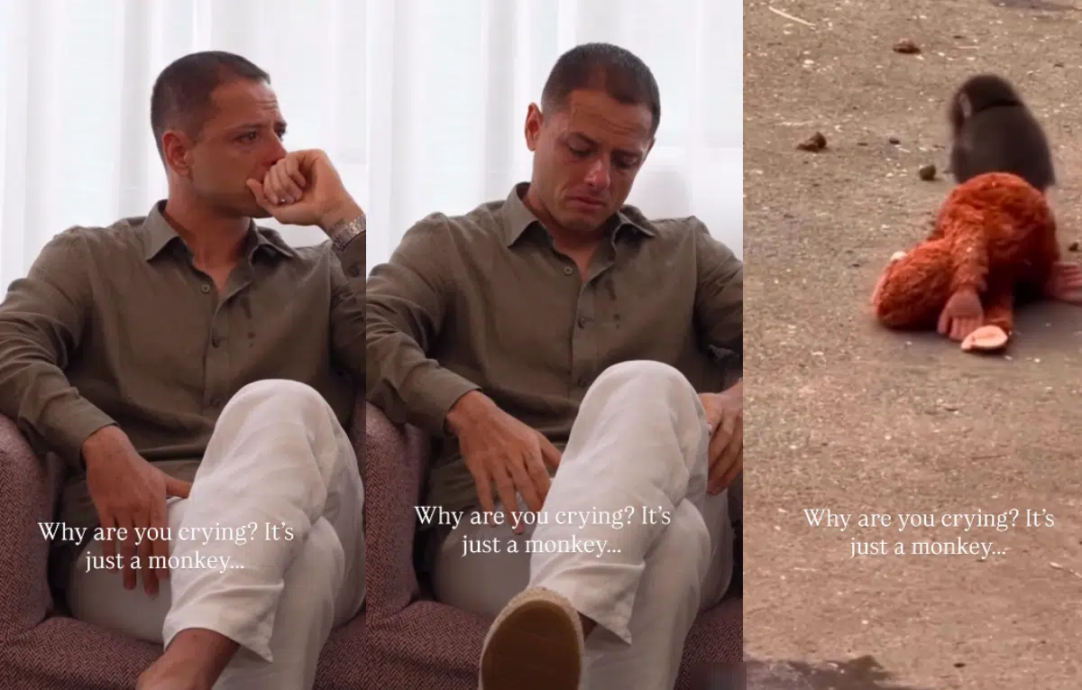 ชิชาริโต อดีตดาวเตะแมนฯ ยูไนเต็ด ร่ำไห้กลางโซเชียลหลังดูคลิปไวรัลเจ้าพั้นช์