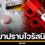 ความหวังใหม่! นักวิจัยจีน พบยาต้านโควิด VV116 ยับยั้ง "ไวรัสนิปาห์" ได้ผลดี