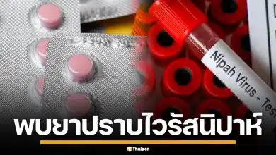 ความหวังใหม่! นักวิจัยจีน พบยาต้านโควิด VV116 ยับยั้ง "ไวรัสนิปาห์" ได้ผลดี