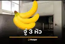 หมอตะลึงพบ "มังกร 3 หัว" ในศพชาย 78 ซ่อนเนียนมาทั้งชีวิต