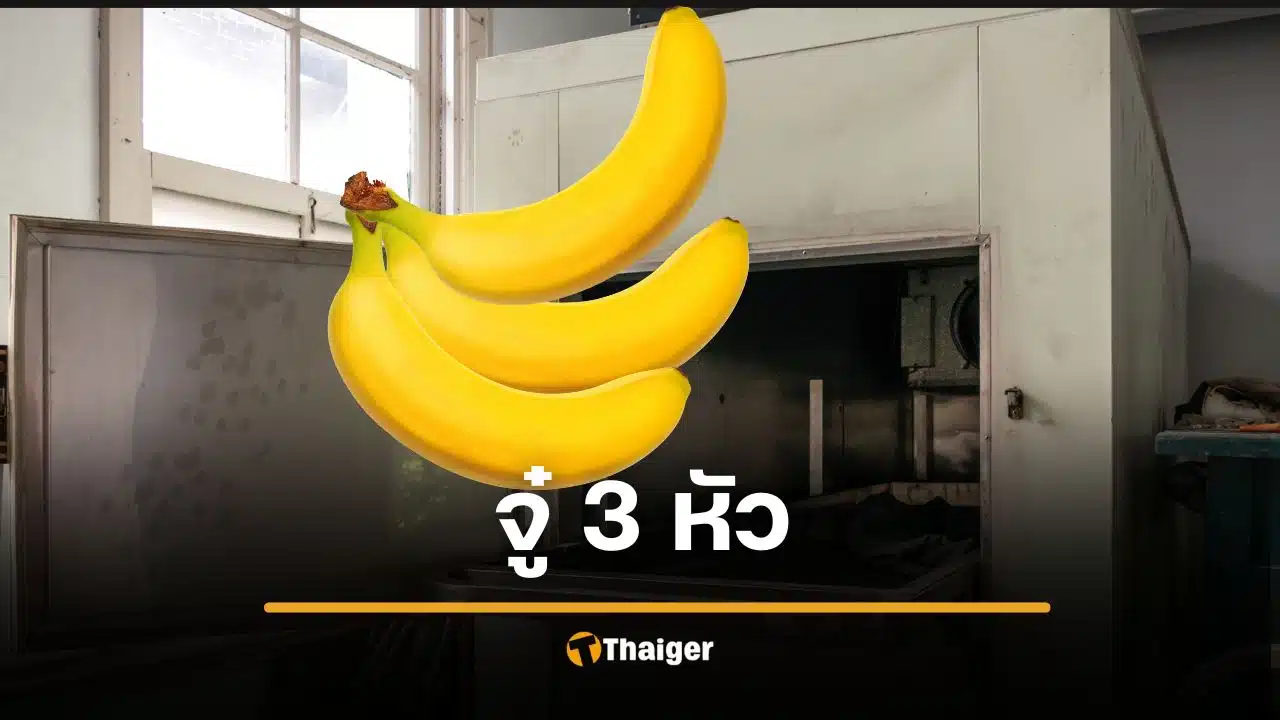 หมอตะลึงพบ "มังกร 3 หัว" ในศพชาย 78 ซ่อนเนียนมาทั้งชีวิต