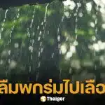 เลือกตั้ง 69 กรมอุตุฯ เตือนภาคกลาง-ตะวันออก-ใต้ รวมทั้ง กทม. มีฝนฟ้าคะนองบางพื้นที่