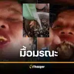 สังเวยราย 2 สาวอัดคลิป กินปูปีศาจ ชักจนตาย พิษร้ายแรงต้มสุกก็ไม่หาย