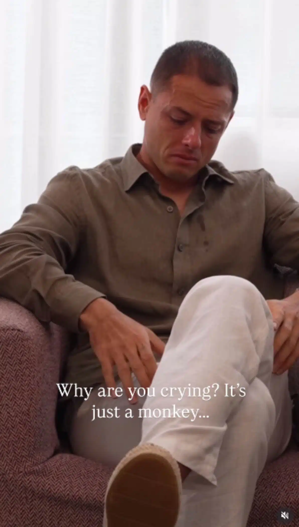 Former Man Utd Star Moved by Viral "Punch" Monkey