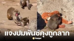 สวนสัตว์ออกแถลงการณ์ พันซ์คุง ลิงหิมะถูกลาก