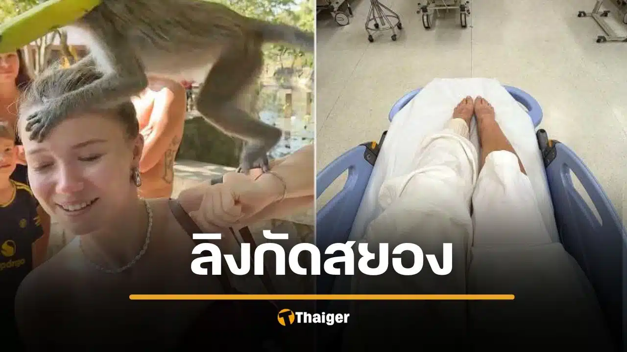 นางแบบดังเยอรมัน บาดเจ็บหนัก ถูก "ลิงกระบี่" รุมกัด-ฟัดนัวบนหัว หามส่ง รพ.