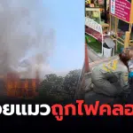 ไฟไหม้ศรีบำเพ็ญพระราม 4 แมว