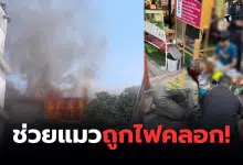 ไฟไหม้ศรีบำเพ็ญพระราม 4 แมว