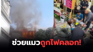 ไฟไหม้ศรีบำเพ็ญพระราม 4 แมว