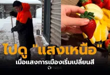 ธรรมนัสไปดูแสงเหนือฟินแลนด์